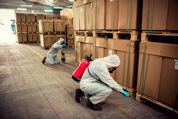 Best Ant Control Services  in Ave Maria, FL