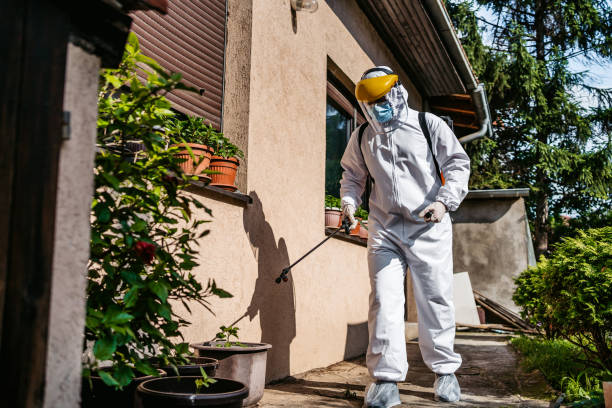 Best Termite Control Services  in Ave Maria, FL