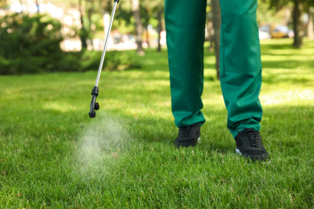 Insect Control in Ave Maria, FL