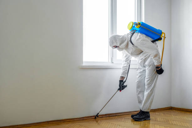 Best Pest Control Cost  in Ave Maria, FL