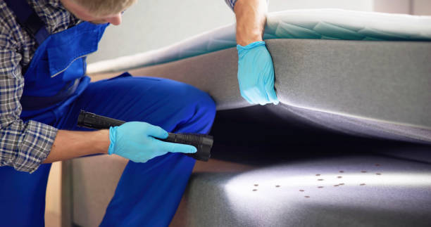 Best Wasp Removal Services  in Ave Maria, FL