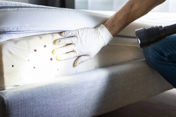 Pest Control for Restaurants in Ave Maria, FL