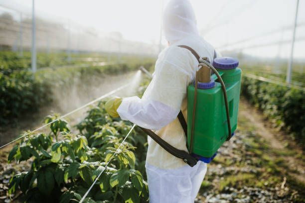Best Flea Control Services  in Ave Maria, FL